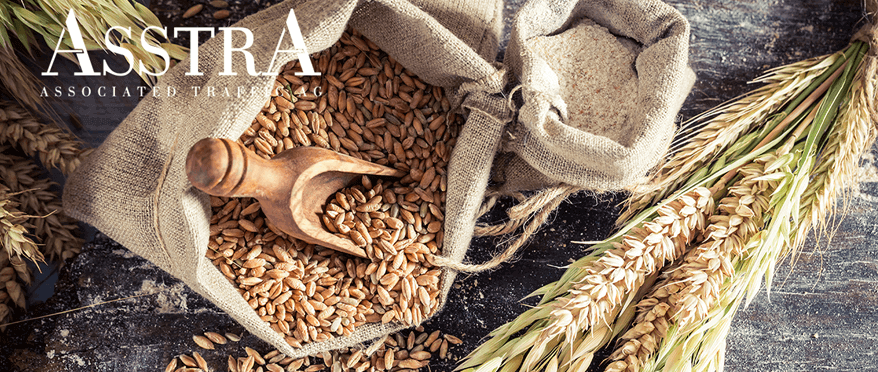AsstrA Business - Проблемы зерновой инфраструктуры