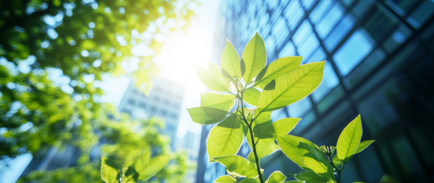 AsstrA публикует ESG-отчет за 2024 год: ощутимый прогресс на пути к устойчивой логистике