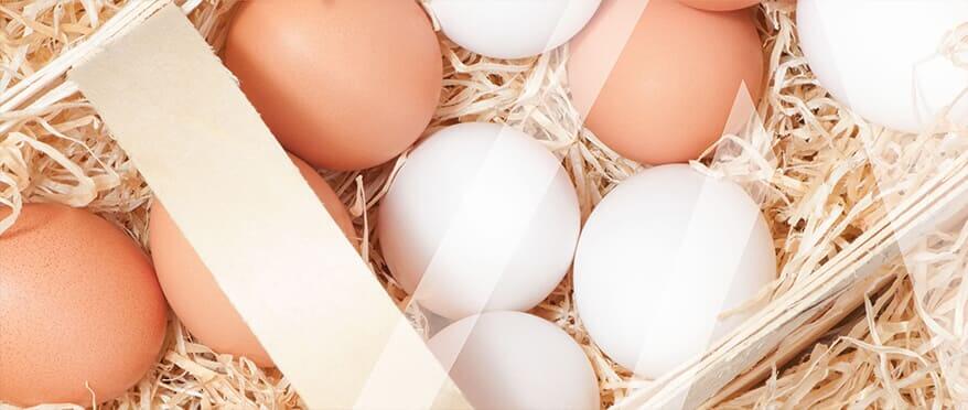 Инкубационные яйца